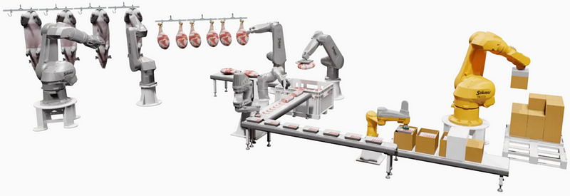 Space to Watch: Robotics for Food Processing